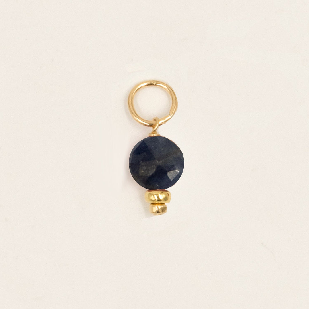 faceted birthstone coin charm - lever back earrings - workshopunderground.com