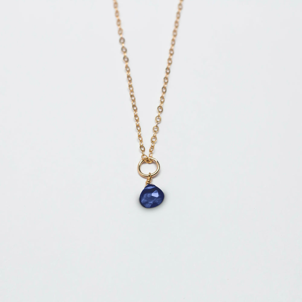 september birthstone - sapphire - charm necklace - workshopunderground.com